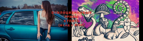 дурь Гусев