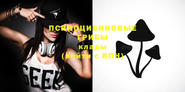мескалин Гусь-Хрустальный