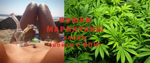 PSILOCYBIN Горняк