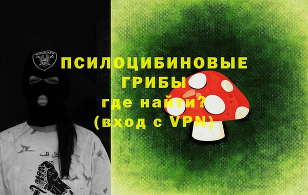 PSILOCYBIN Горняк