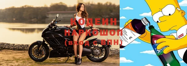 PSILOCYBIN Горняк
